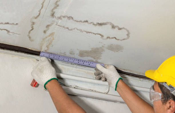 Reliable Mold Remediation contractor in Cochiti Pueblo, NM by Water Damage Irwin